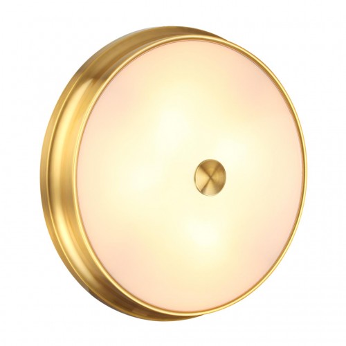 Настенно-потолочный светильник ODEON LIGHT 4824/4C