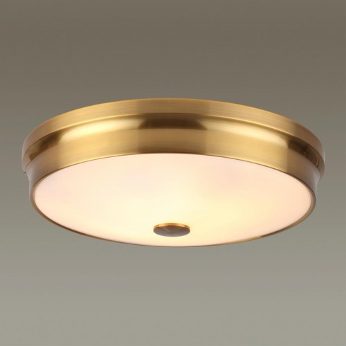 Настенно-потолочный светильник ODEON LIGHT 4824/4C