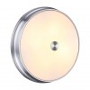 Настенно-потолочный светильник ODEON LIGHT 4825/4C