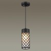 Ландшафтный светильник-подвес ODEON LIGHT 4834/1