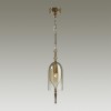 Подвес ODEON LIGHT EXCLUSIVE 4892/1