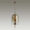 Подвес ODEON LIGHT EXCLUSIVE 4892/3