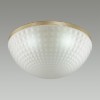 Потолочный светильник ODEON LIGHT 4936/4C