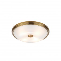 Настенно-потолочный светильник ODEON LIGHT 4956/4