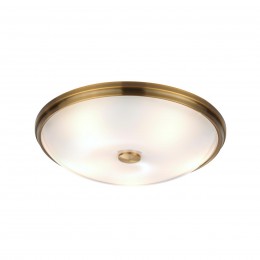 Настенно-потолочный светильник ODEON LIGHT 4956/5