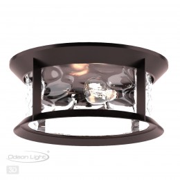 Ландшафтный потолочный светильник ODEON LIGHT 4961/2C