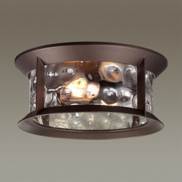 Ландшафтный потолочный светильник ODEON LIGHT 4961/2C
