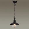 Ландшафтный подвес ODEON LIGHT 4965/1
