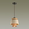 Подвес ODEON LIGHT 4992/1