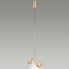Подвес ODEON LIGHT 5011/16L