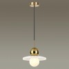 Подвес ODEON LIGHT 5014/1B