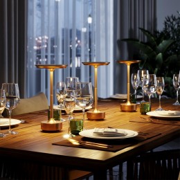 Настольная лампа ODEON LIGHT 5033/6TL