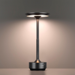 Настольная лампа ODEON LIGHT 5034/6TL