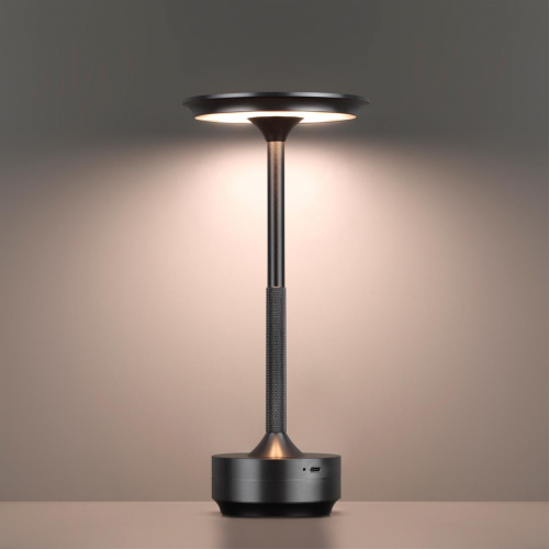 Настольная лампа ODEON LIGHT 5034/6TL