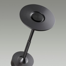 Настольная лампа ODEON LIGHT 5034/6TL