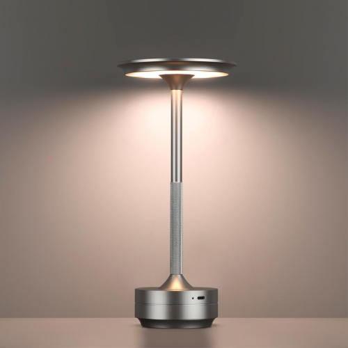 Настольная лампа ODEON LIGHT 5035/6TL