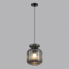Подвес ODEON LIGHT 5042/1B