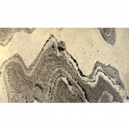 Настольная лампа ODEON LIGHT 5064/2T