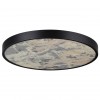 Настенно-потолочный светильник ODEON LIGHT 5064/50L