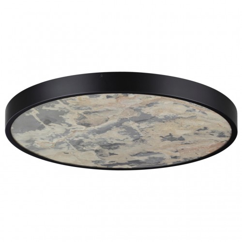 Настенно-потолочный светильник ODEON LIGHT 5064/50L