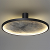Настенно-потолочные ODEON LIGHT 5078/45L
