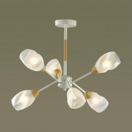 Люстра потолочная LUMION 5210/6C