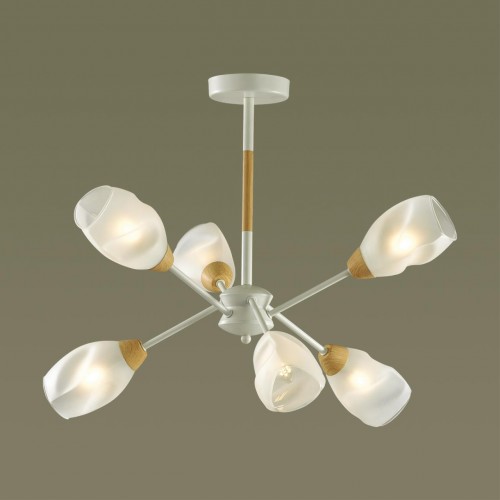 Люстра потолочная LUMION 5210/6C