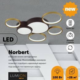 Люстра потолочная LUMION 5255/99CL