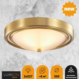 Настенно-потолочный светильник LUMION 5259/2C
