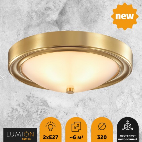 Настенно-потолочный светильник LUMION 5259/2C