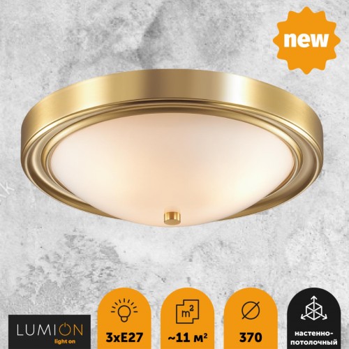 Настенно-потолочный светильник LUMION 5259/3C