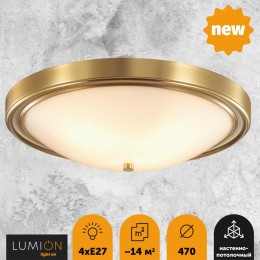 Настенно-потолочный светильник LUMION 5259/4C