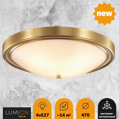 Настенно-потолочный светильник LUMION 5259/4C