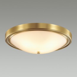 Настенно-потолочный светильник LUMION 5259/4C