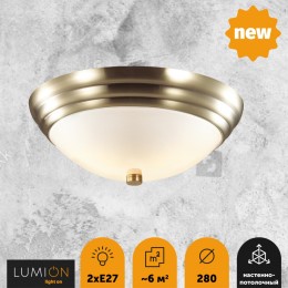 Настенно-потолочный светильник LUMION 5262/2C