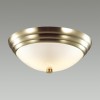 Настенно-потолочный светильник LUMION 5262/2C