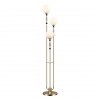 Торшер ODEON LIGHT EXCLUSIVE 5405/3F