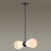 Подвес ODEON LIGHT EXCLUSIVE 5418/2