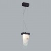 Подвес ODEON LIGHT EXCLUSIVE 5438/12L