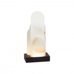 Настольная лампа ODEON LIGHT EXCLUSIVE 5438/12TL
