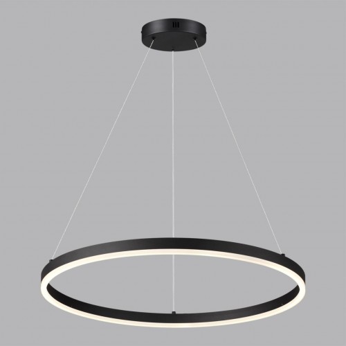 Светильник подвесной LUMION 6530/50L