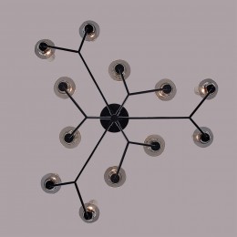 Люстра потолочная LUMION 6555/12C