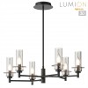 Люстра потолочная LUMION 6555/6C