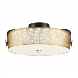 Потолочный светильник LUMION 6597/40L