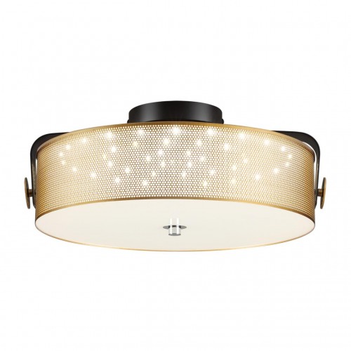 Потолочный светильник LUMION 6597/40L