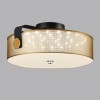 Потолочный светильник LUMION 6597/40L