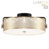 Потолочный светильник LUMION 6597/40L