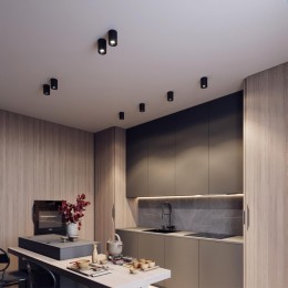 Потолочный светильник ODEON LIGHT 6619/10CL