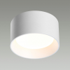 Потолочный светильник ODEON LIGHT 6622/10CL