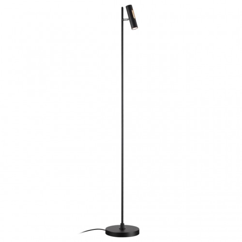 Напольный светильник ODEON LIGHT 6643/5FL